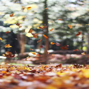 Photo by Autumn Mott Rodeheaver on Unsplash